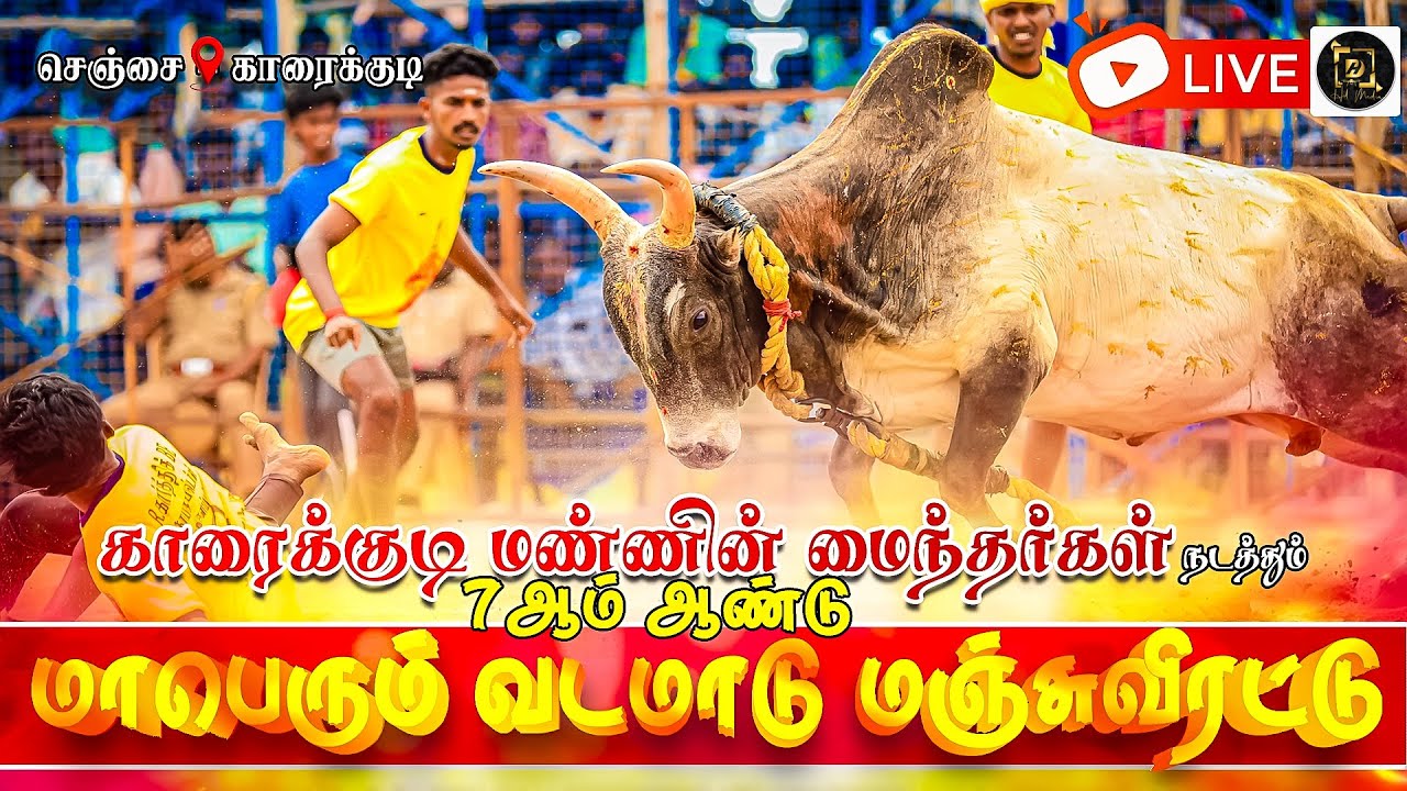 🔴நேரலை வடமாடு மஞ்சுவிரட்டு காரைக்குடி | செஞ்சை | HD Media & Studioz