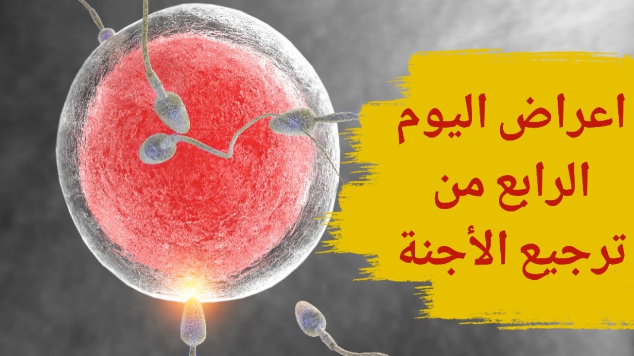 اعراض اليوم الرابع من ارجاع الاجنه | أعراض اليوم الرابع من ترجيع الأجنة