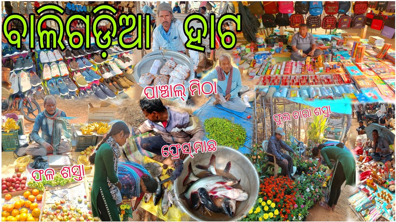 ଖାସି ମାଂସ 🍗୫୦୦ କିଲୋ 🐐 ଦେସି ଲୁଣା ମାଛ 🐠 ନୁଆ ବେଙ୍ଗଲି ପଞ୍ଚାଲ୍ ମିଷ୍ଟି//Baligadia ହାଟ | #youtube #vlog 