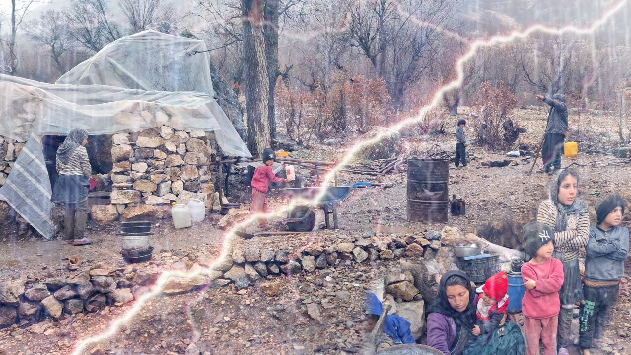 Breathtaking struggle for survival: video of a hard rainy day in the mountains