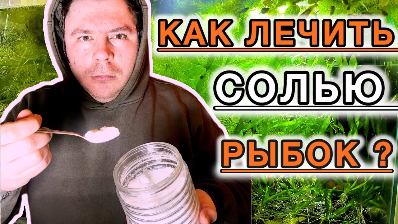 Как правильно лечить аквариумных рыбок солью ? 