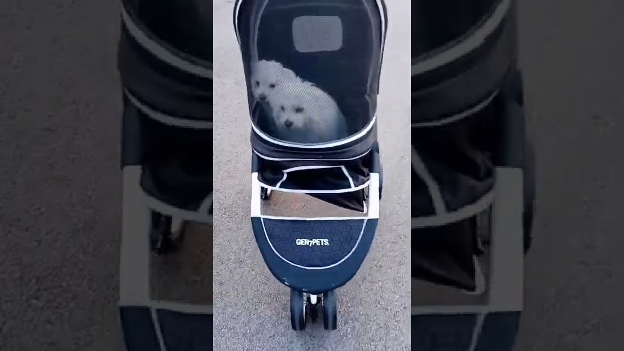 Gen7 pet strollers rock!