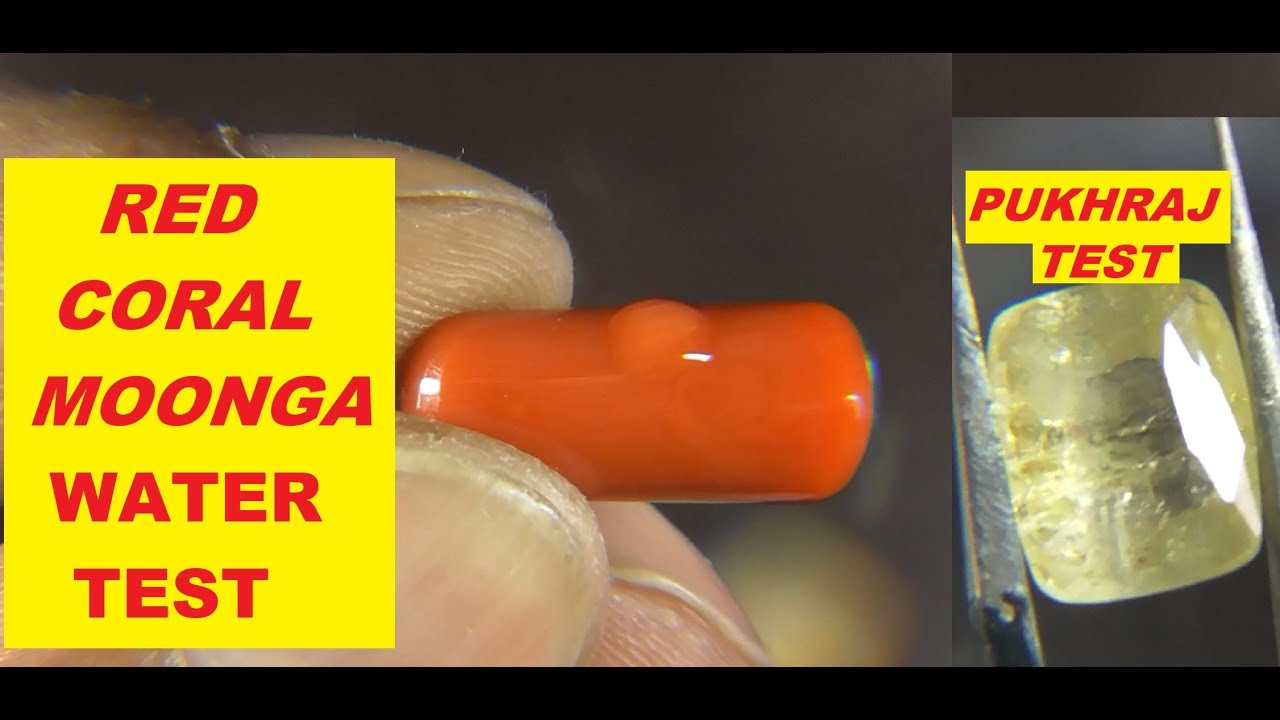 MOONGA WATER TEST and PUKHRAJ  PRESIDIUM  TEST  in HINDI