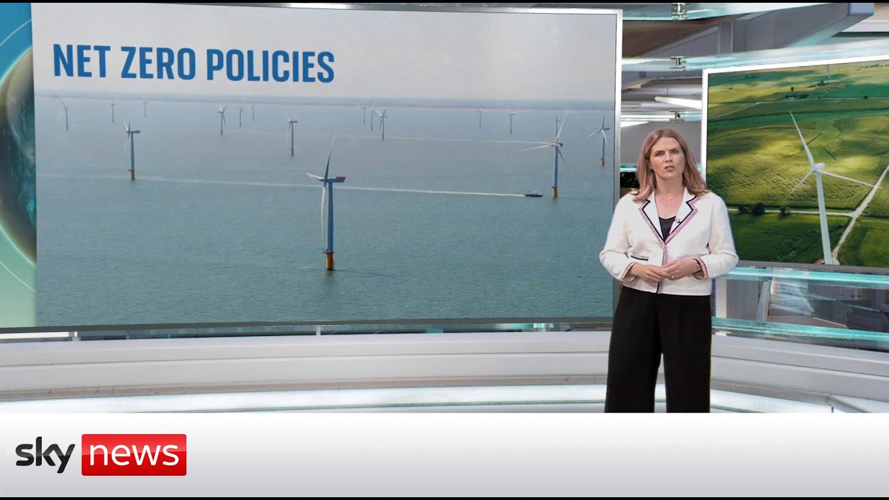 Net zero strategy: What's in the plan?