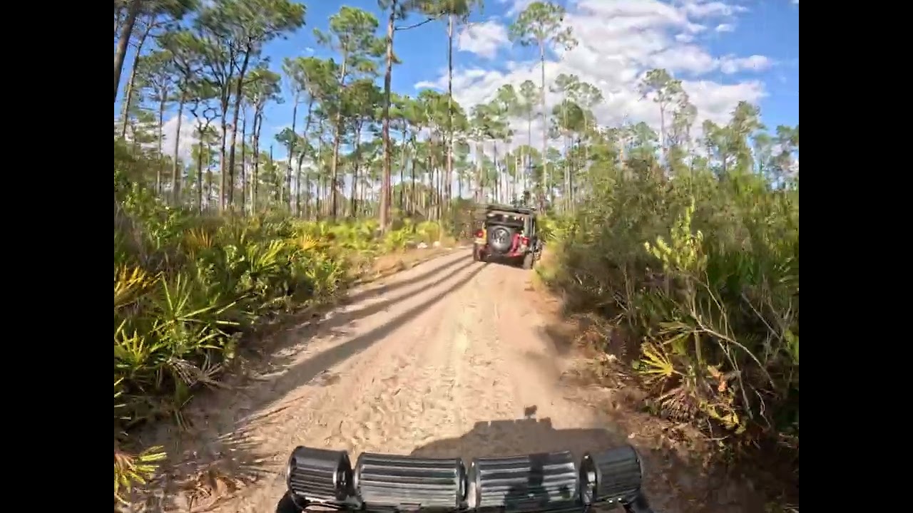 Great day in the Ocala Forest
