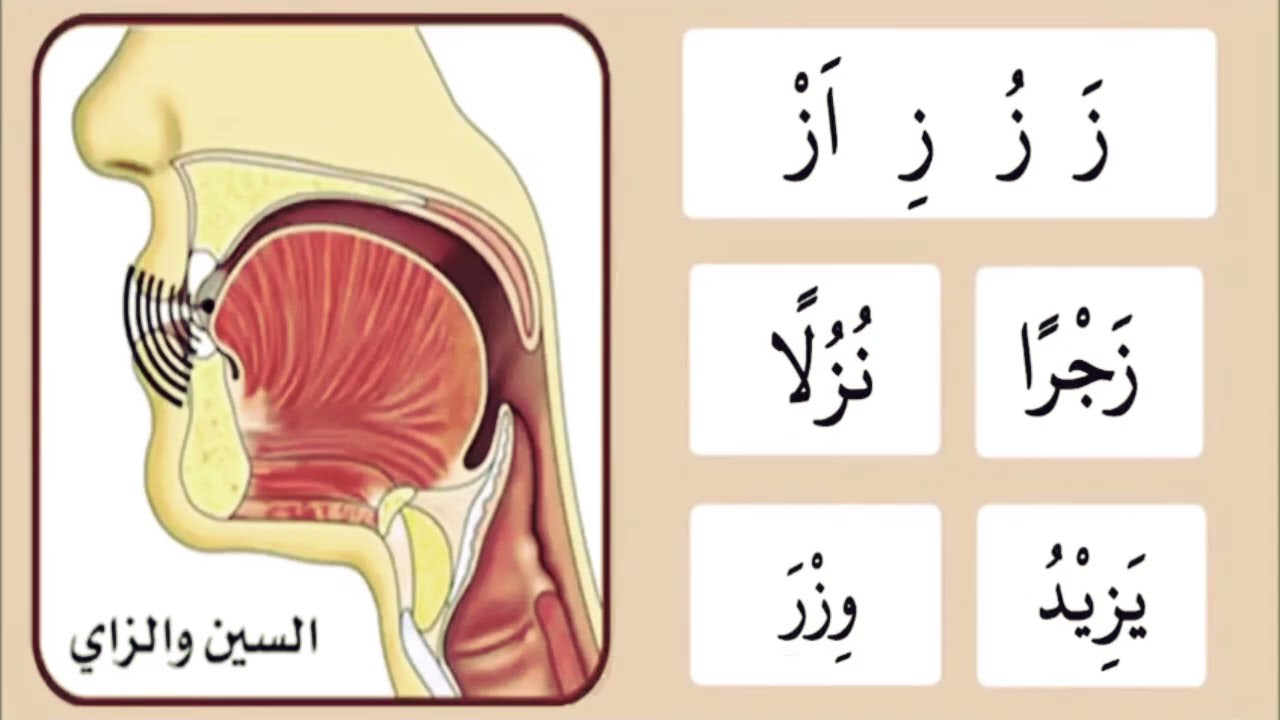 Arabic letter practice 