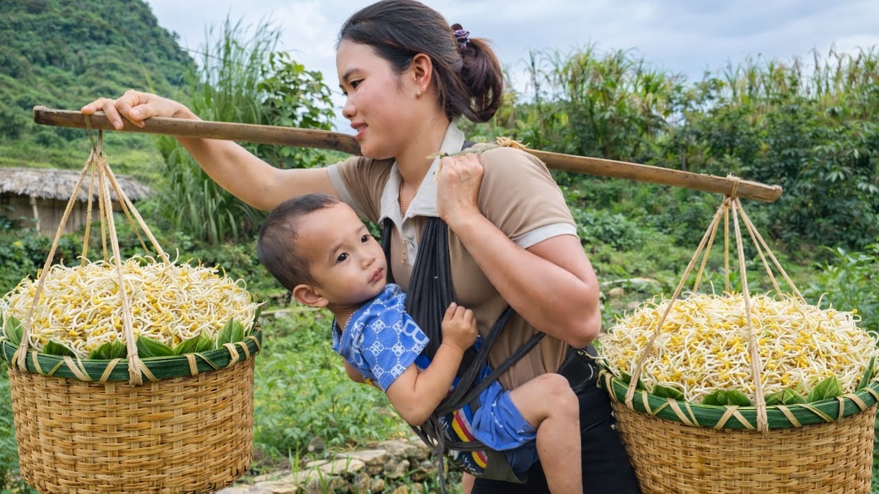 The Process of Growing and Sprouting Vegetables for Sale at the Market | Trieu Thi Thuy
