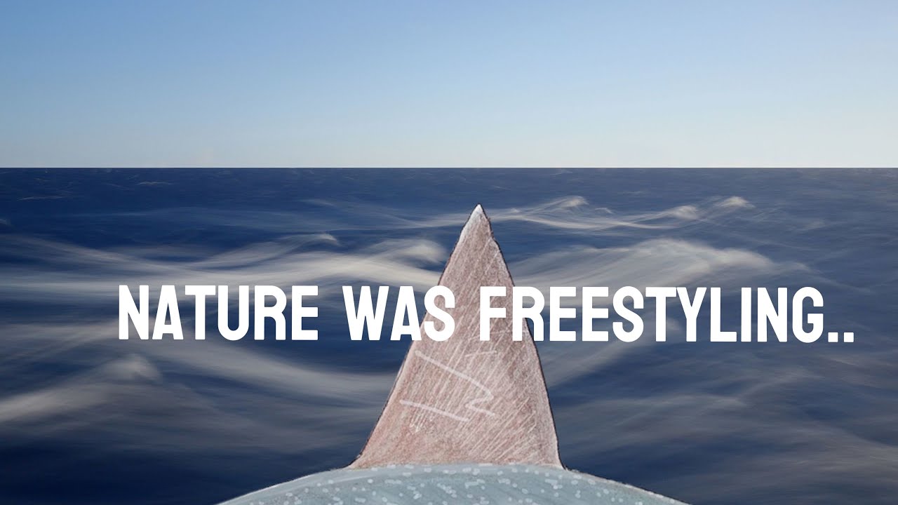Prehistoric sharks were MESSED UP