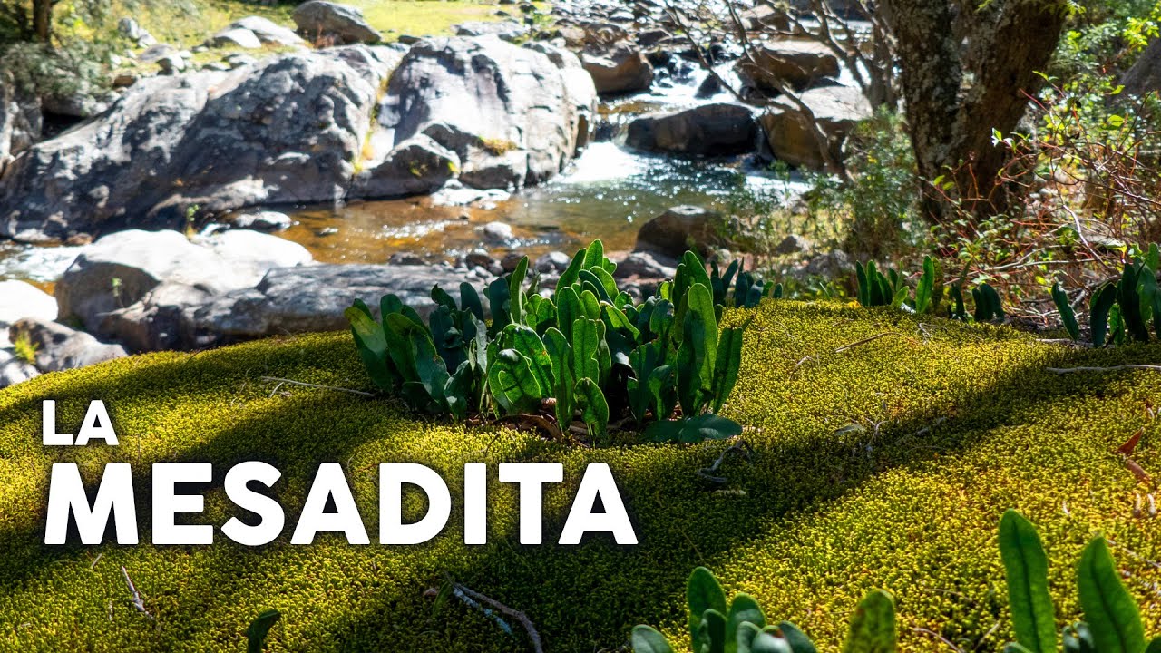 La Mesadita, El Rodeo, Catamarca (2022)