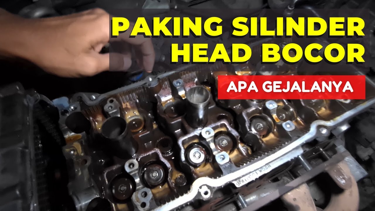 Paking Silinder Head Bocor Apa Gejalanya