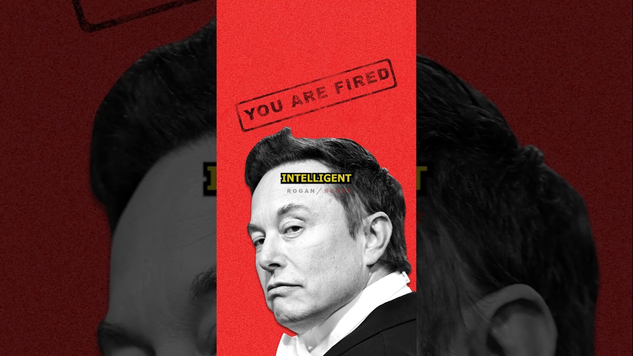 Rogan: Elon's Idea for a Department of Government Efficiency