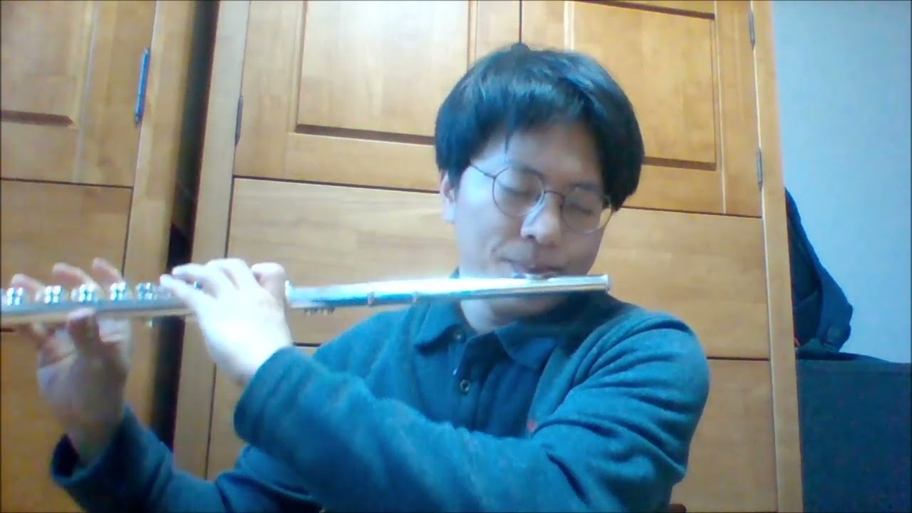 blue archive the promise at sunset flute cover