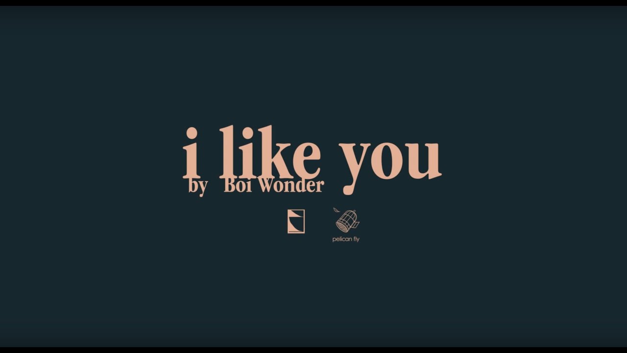 Boi Wonder - I Like You (Official Audio)