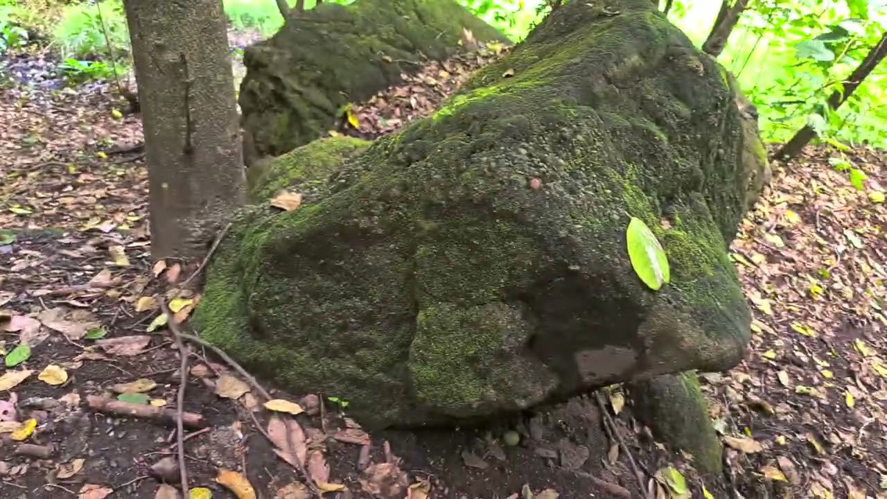 CAMINATAS Y AVENTURAS AL EXTREMOSEÑORES ES. UN.GUSTO BRINDARLES.UN NUEVO VIDEO Y SUSCRIBETE