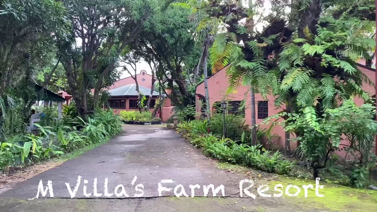 Experience M Villa&rsquo;s Farm Resort