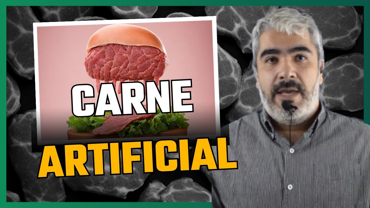 Produção Carne artificial