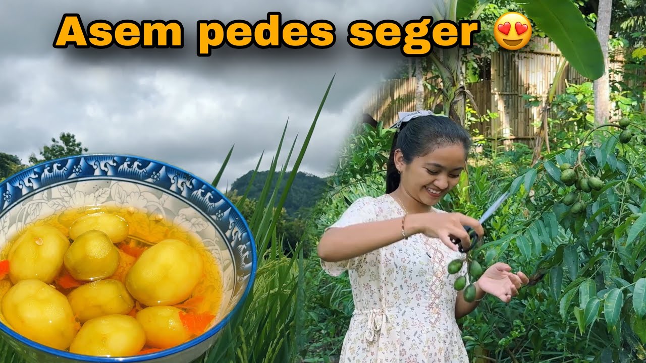 MANISAN KEDONDONG MINI TANPA BIJI ALA IJAH BISA PEDAS BISA GAK YO REKKK 