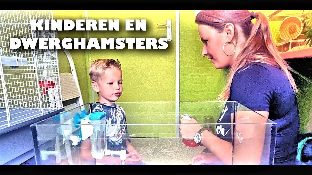 KINDEREN & HAMSTERS | Hoe zit dat en waar moet je aan denken?