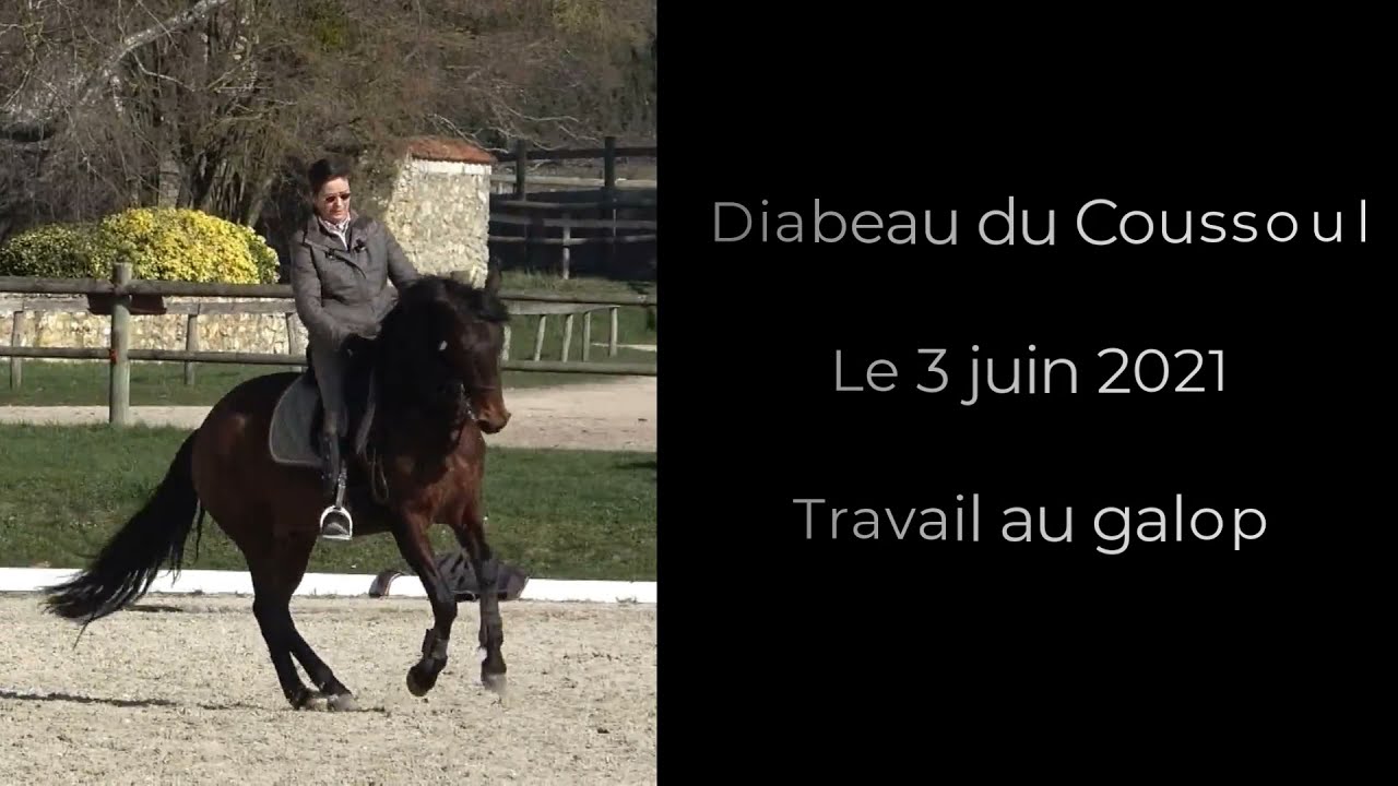 Diabeau, le 3 juin 2021, travail au galop