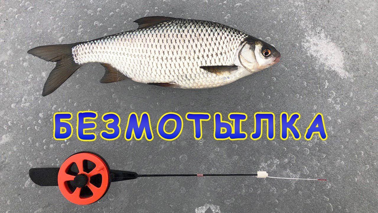 Плотва на безмотылку! Мастер класс от Николая Гунченко! Мормышка уралка!