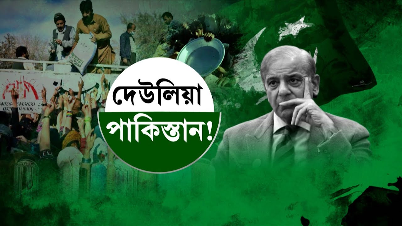 Pakistan Economic Crisis: পাকিস্তানের 'ভাঁড়ে মা ভবানী', কেন দেউলিয়া প্রতিবেশী দেশ?
