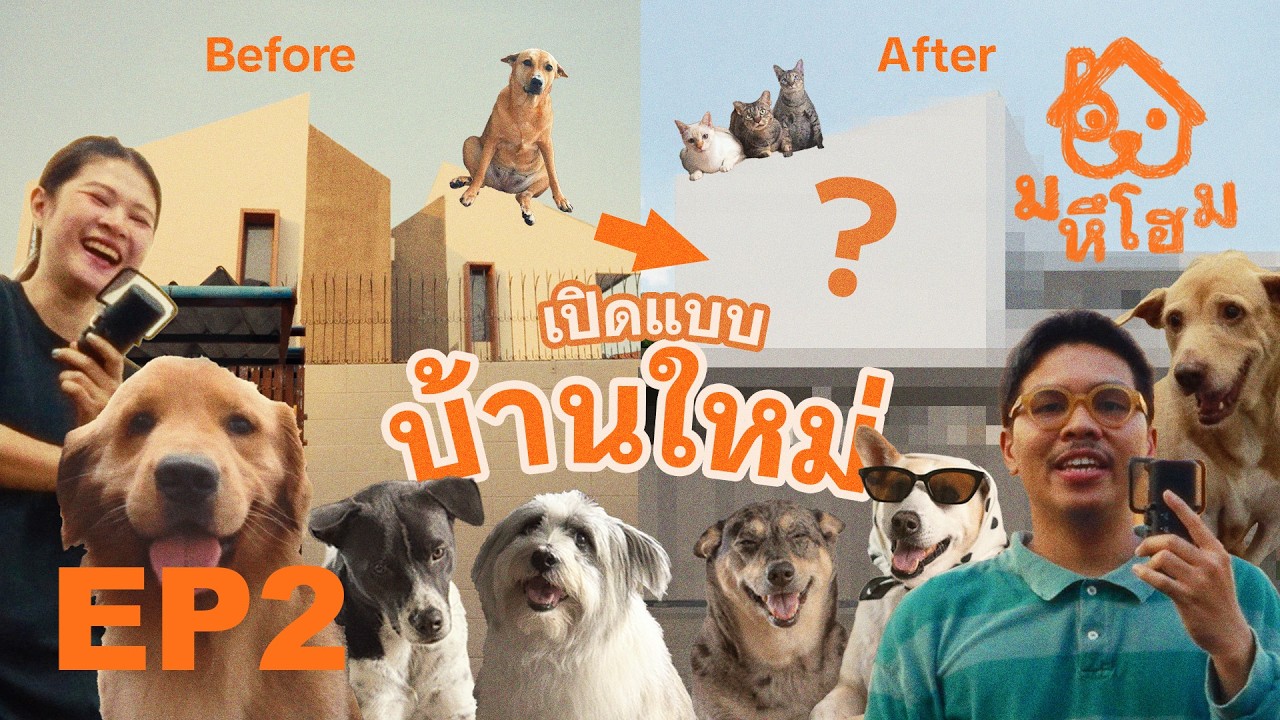 หลังทุบ หน้าตาเป็นไง ?  - มหึโฮม EP2