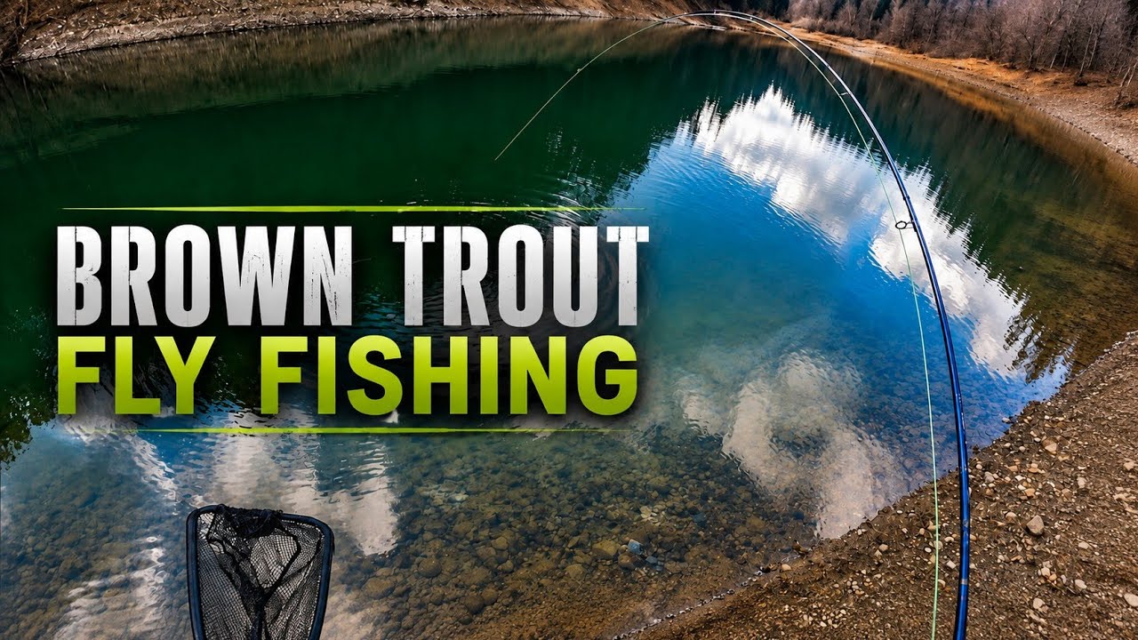 Fly fishing for a spring brown trout-Opening trout season 2026-Fly fishing Croatia