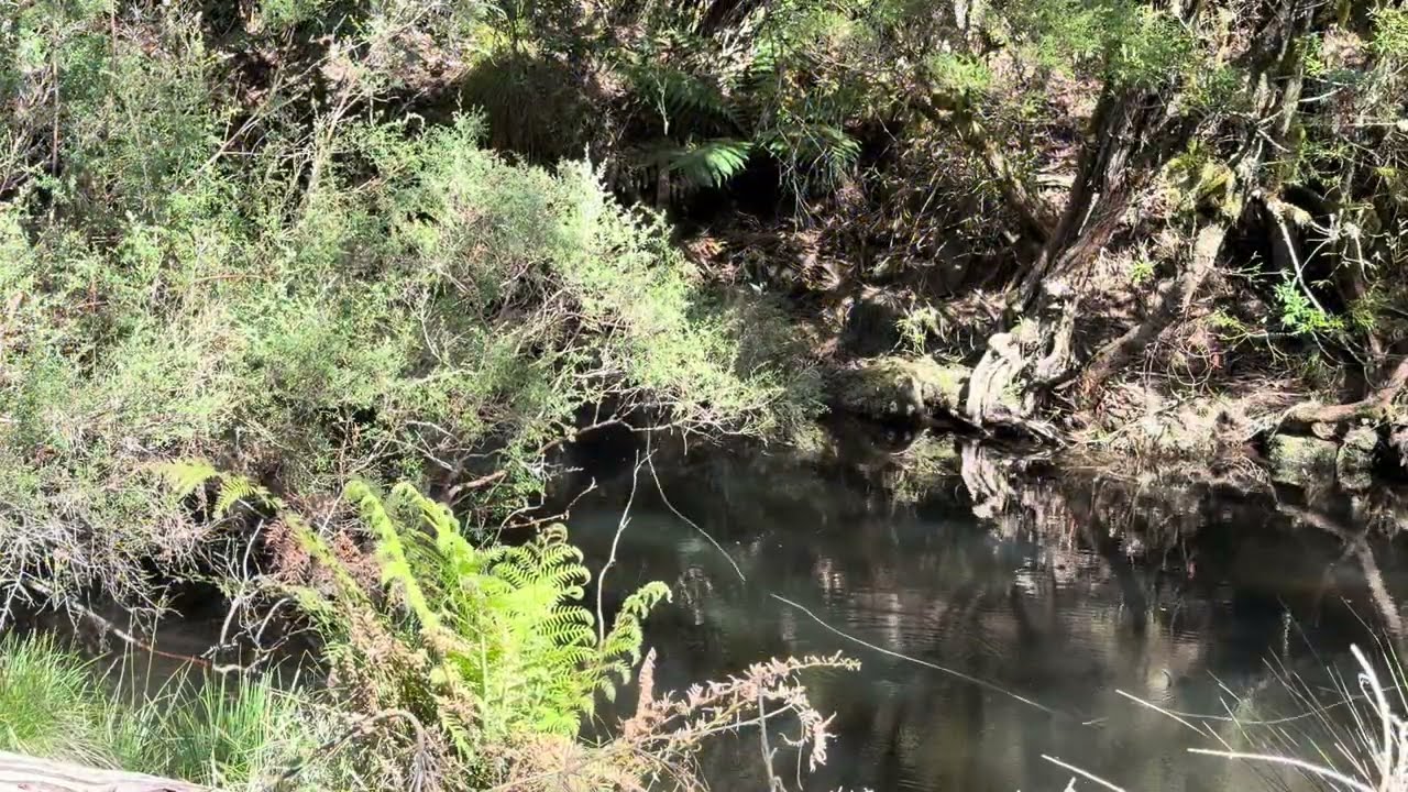 Late November session in the Barrington tops
