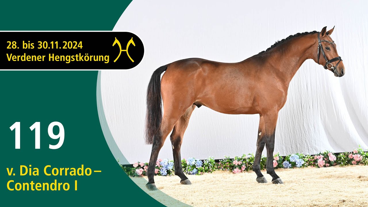 No. 119 Stallion by Dia Corrado - Contendro I | Verden Stallion Licensing 2024- Jumping - Nov. 29/30