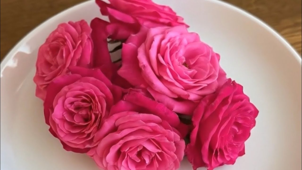 Pure rose magic in every drop 🌹✨ Arke Gulaab love!Tradition, fragrance & freshness — Arke Gulaab 🌸
