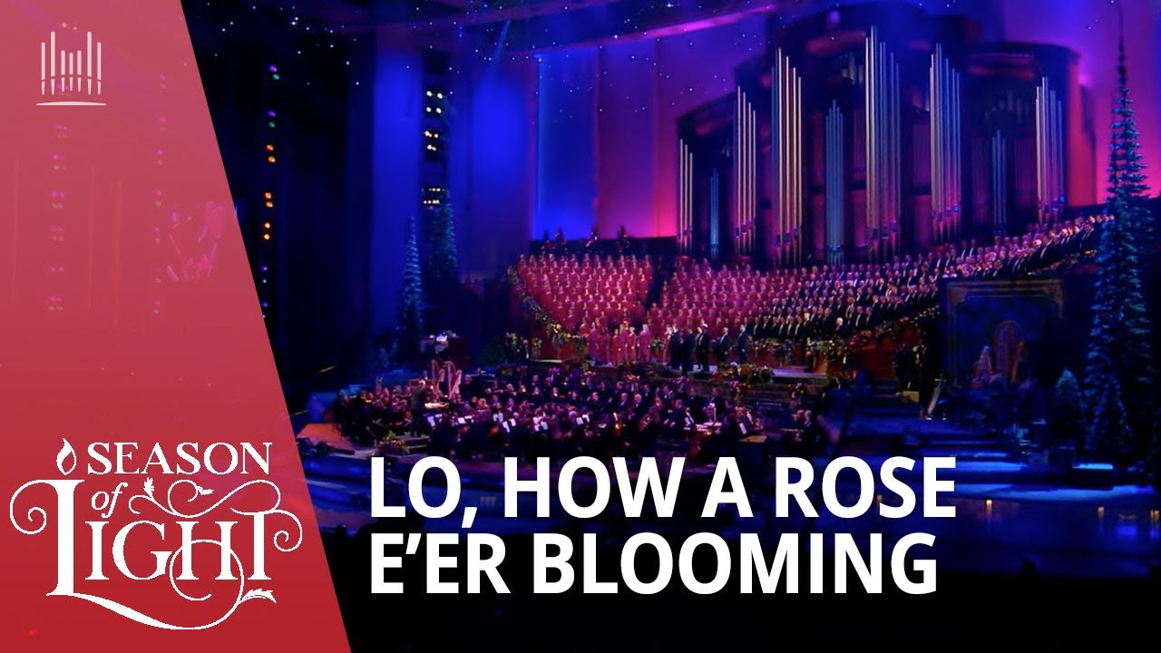 Lo, How A Rose E'er Blooming | Season of Light | The Tabernacle Choir #christmas