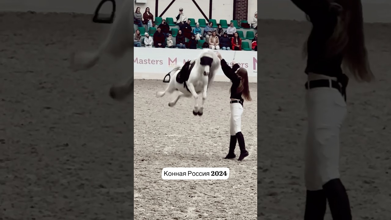 Слепая уэльская пони Уля, Конная палитра на выставке Конная Россия