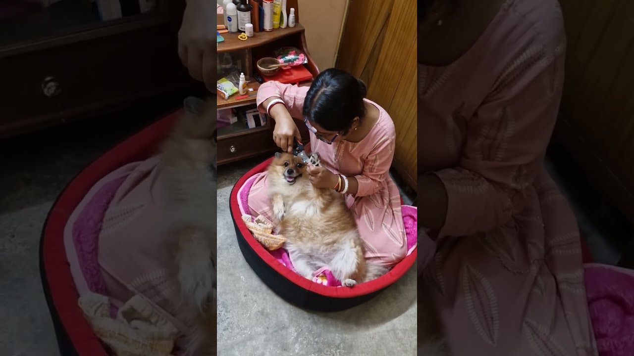 😊 বদ্দি যাওয়ার আগে সব পরিষ্কার করে দিচ্ছে।