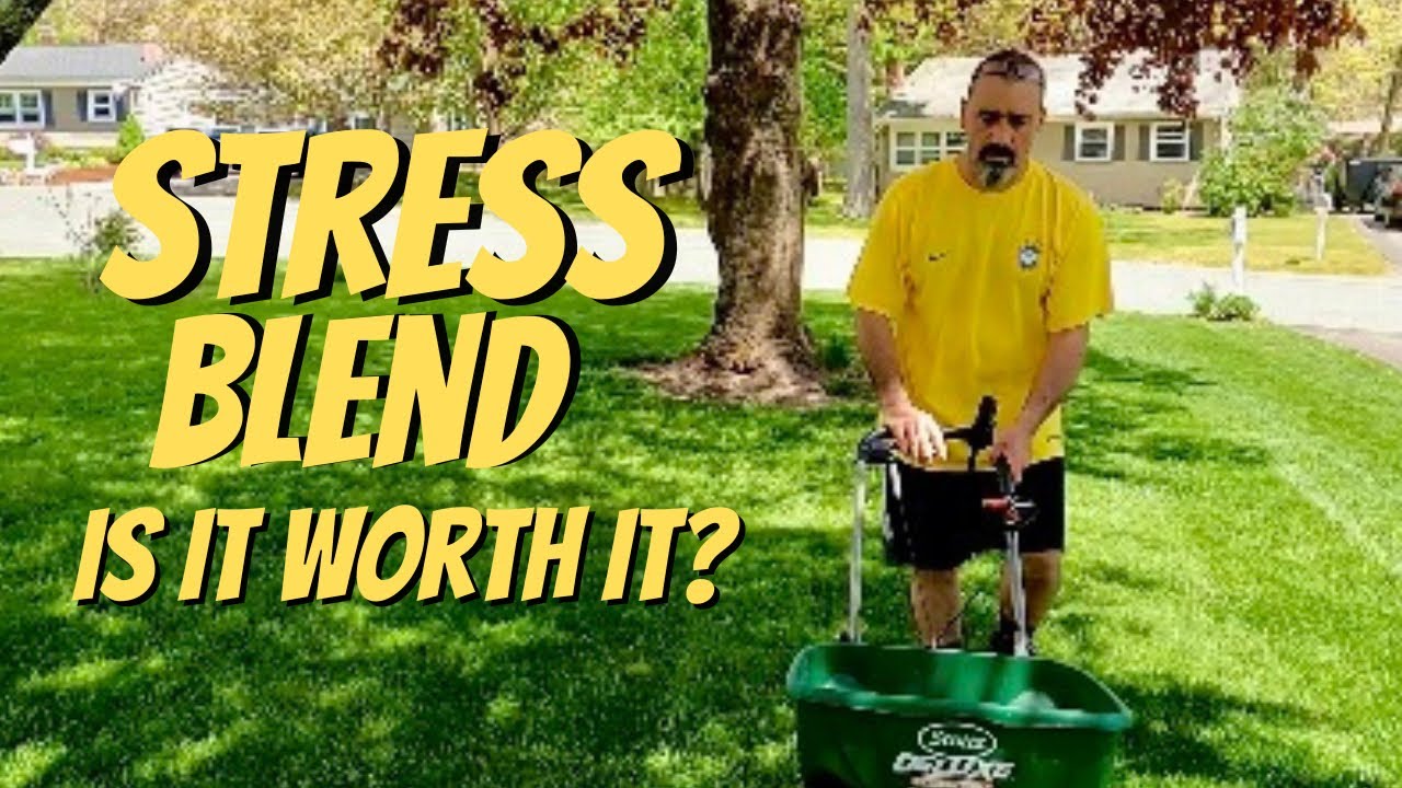 How to FERTILIZE your LAWN. YARDMASTERY - 7-0-20 Northeast