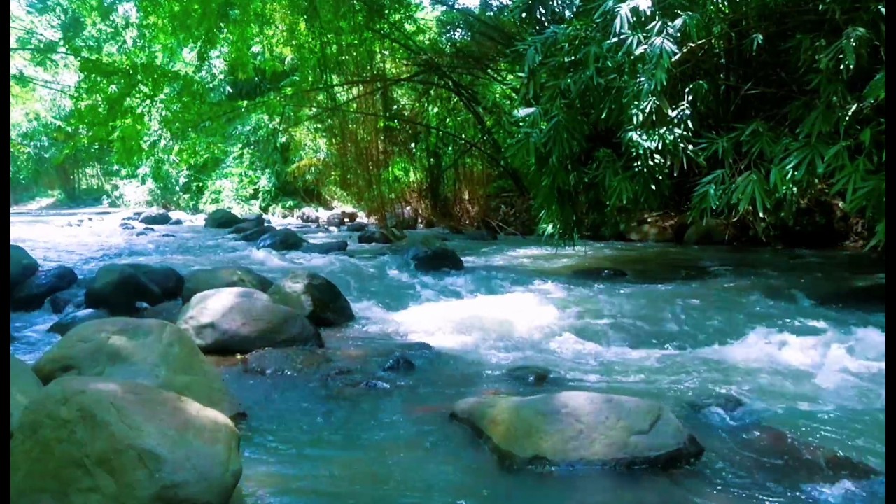 Tranquil River Ambience – Soft Stream and Forest Sounds for Deep Sleep and Inner Peace
