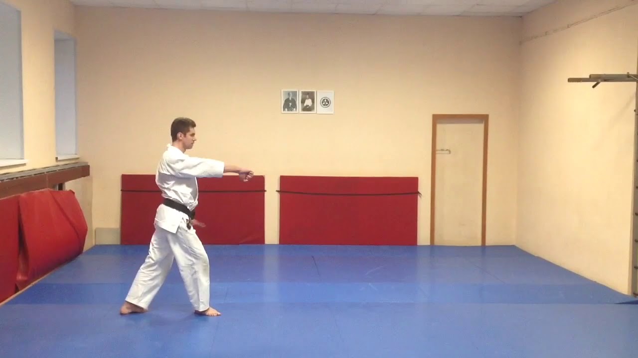 Mae Mawari Ukemi (Zempo Kaiten Ukemi).  Yoshinkan Aikido