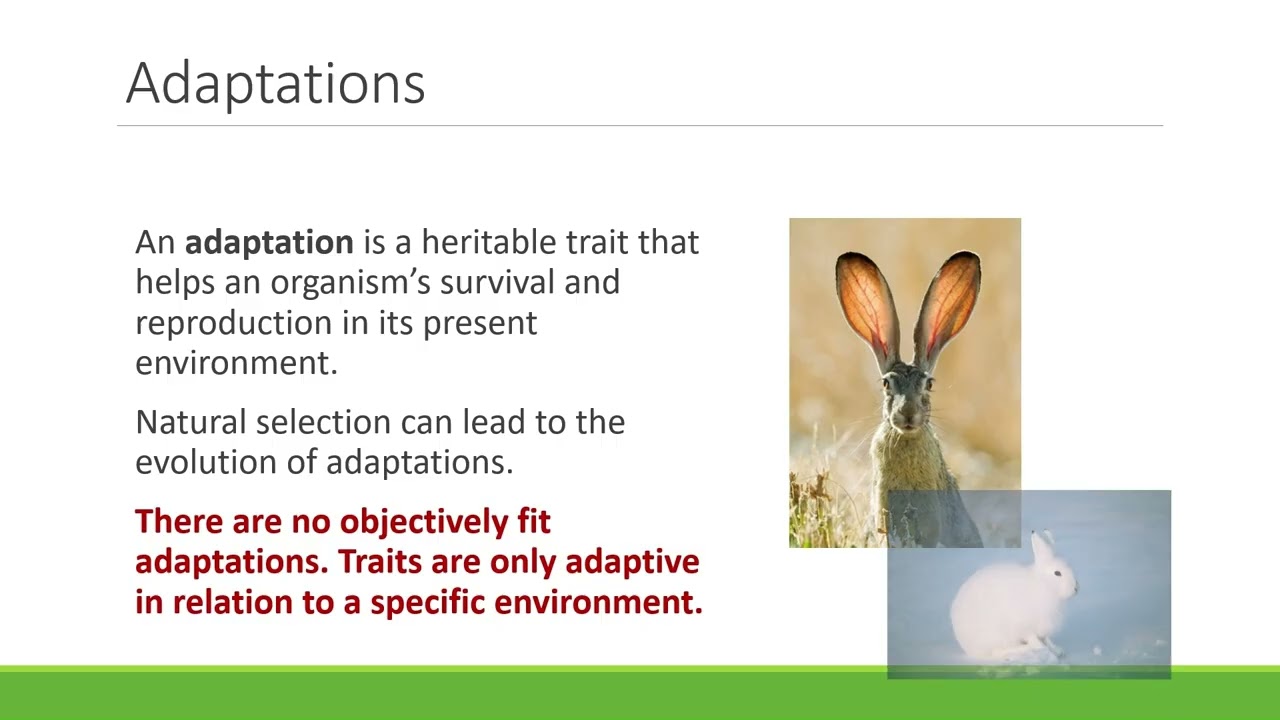 CAC BIO182 Mechanisms of Evolution