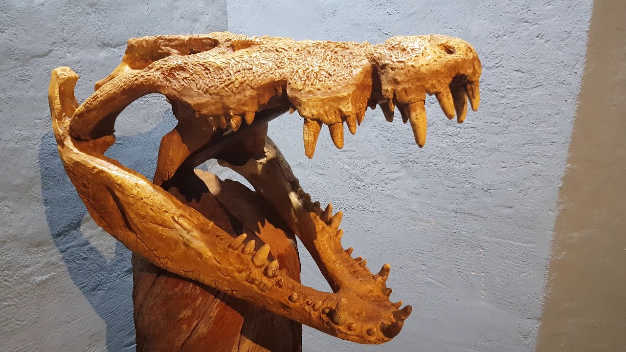 Akvariet i Bergen (Bergen Aquarium) Part 2