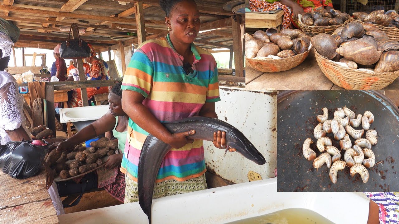 What Happens In Lagos Most Popular Fish/Bushmeat Market