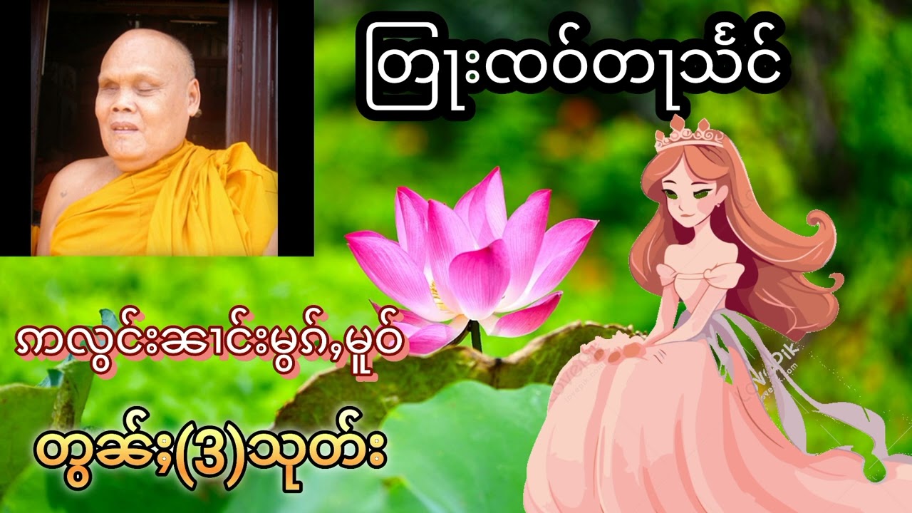 #တြႃးၸဝ်ႈတႃသႅင်(ဢလွင်းၼၢင်းမွၵ်ႇမူဝ်)တွၼ်ႈ(3)သုတ်း