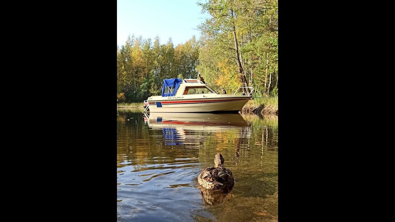 Marjaana - Maritim 550 HT and Yamaha V4 140