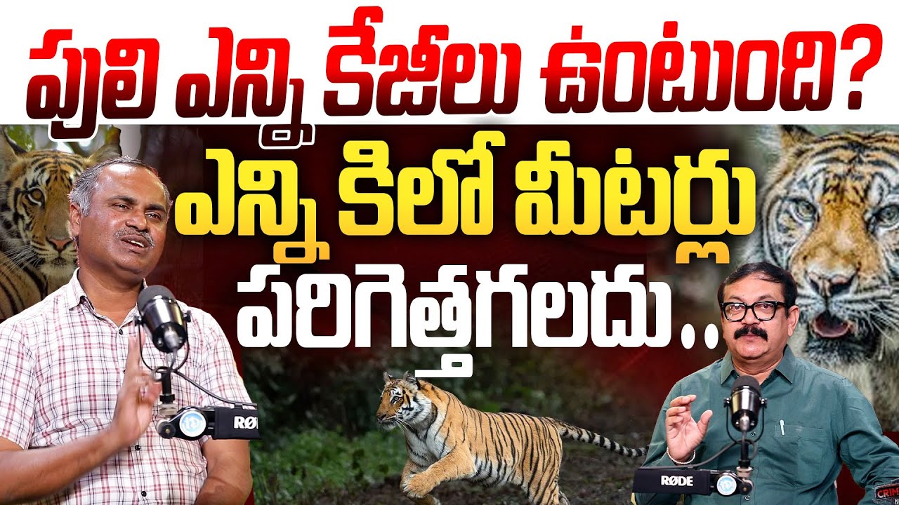 పులి ఎన్ని కేజీలు ఉంటుంది ?Ram Mohan,FDO, Jannaram, Mancherial Dist, Kawal Tiger Reserve | I Dream