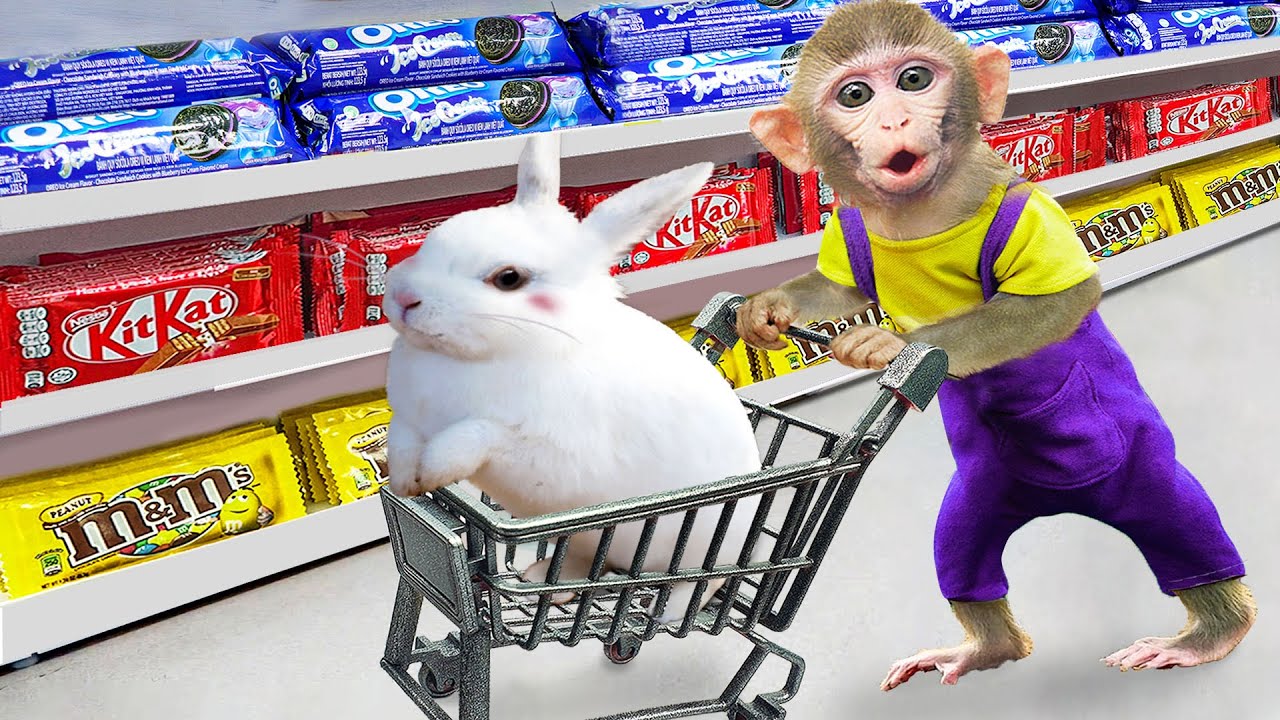Baby Monkey KiKi Takes a RABBIT to go shopping at the supermarket | KUDO ANIMAL