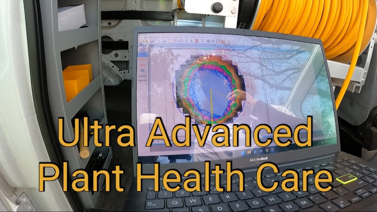 Advanced Tree Diagnostics - Plant Health Care - Certified Arborist