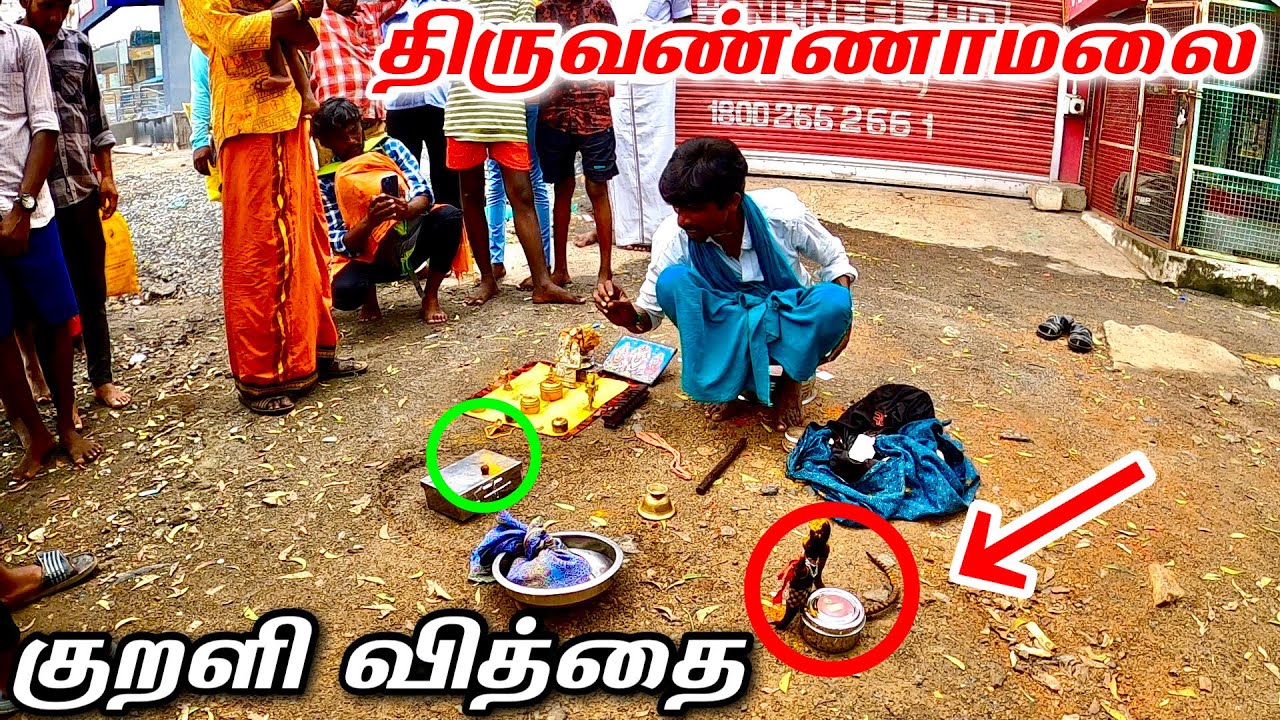 திருவண்ணாமலையில் குறளி வித்தை ☠️🧸🪄Thiruvannamalai | Arikkan Light | Ep4
