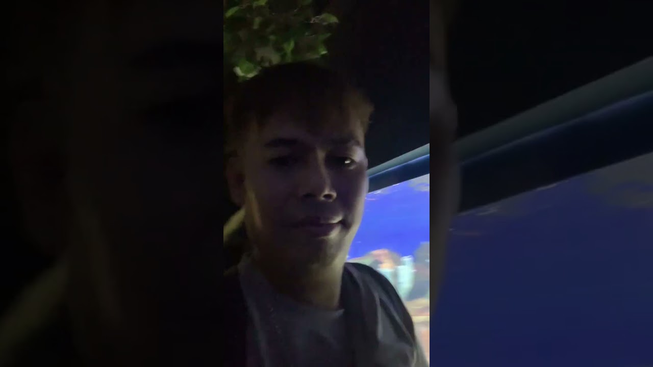 Cebu Ocean Park Part 2 