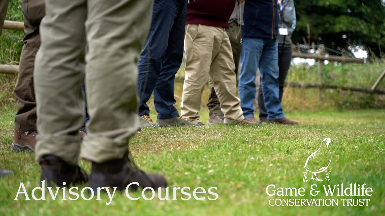 Find out more about GWCT Advisory Courses
