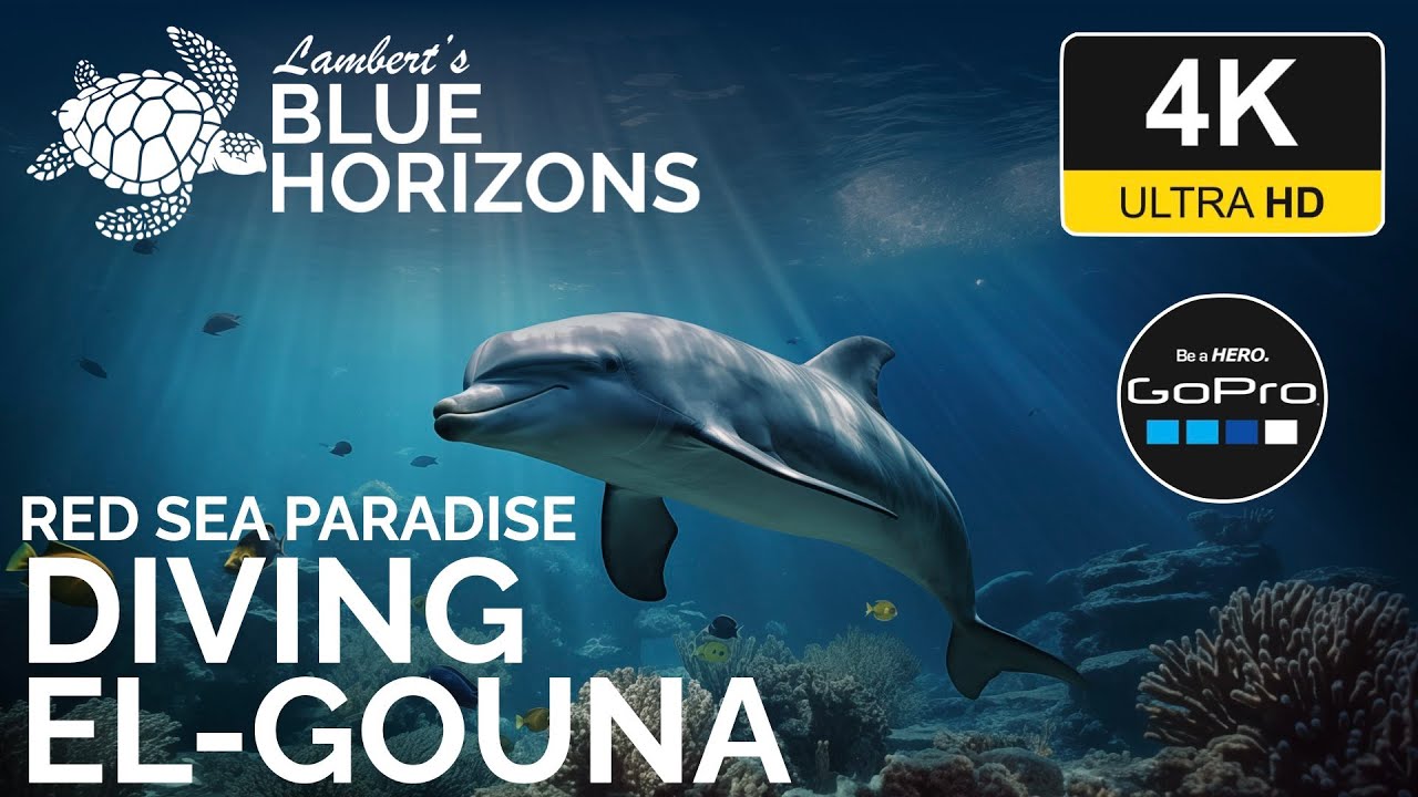 4K Red Sea Paradise: El Gouna - Diving Egypt