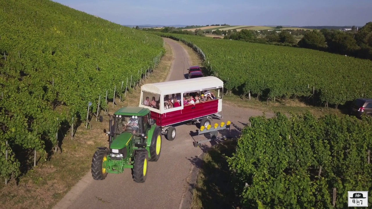 Brackenheim( Natur & Wein 2017 ) Weinkultur am Mönchsbergsee