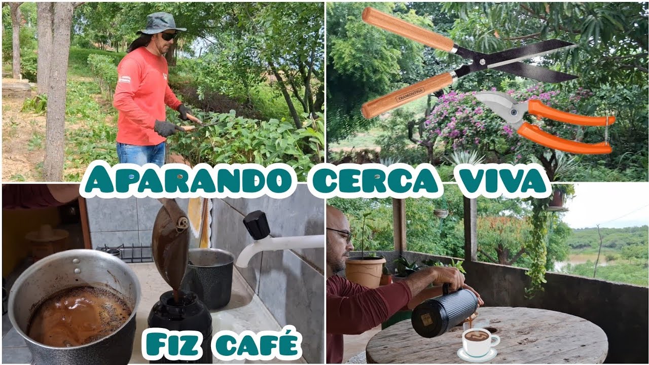 O Sitio amanheceu com chuva + fiz café  + aparando a cerca viva ! #sitio 